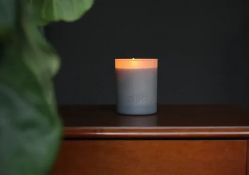 Sale dilo candle No. 03 Tobacco + Cedar Handmade Beauty | Wellness